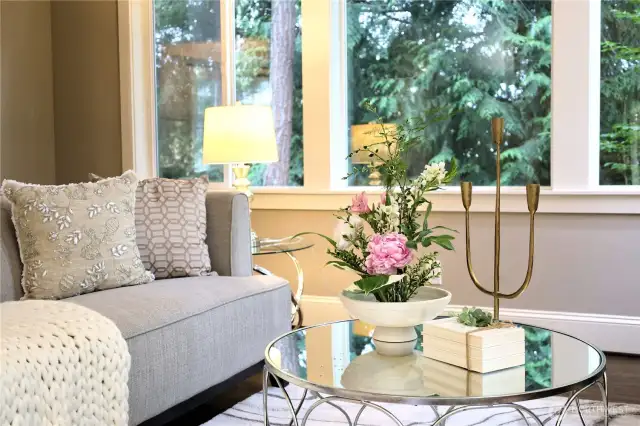 Living Room with window