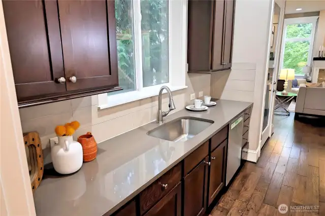 Kitchen Sink