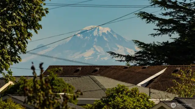 View from Deck