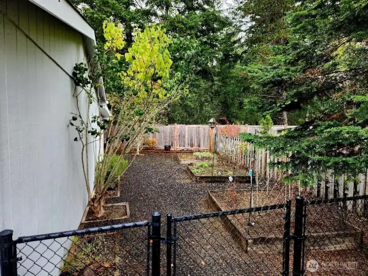 Vegetable Garden Fenced Back Yard