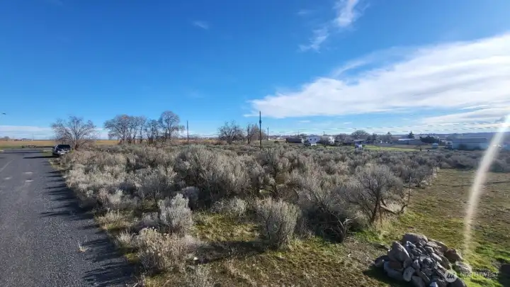 NW Corner from Woodland Ave