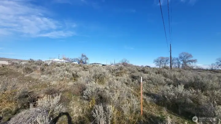 SW Corner looking NE