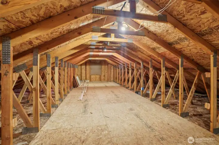 Attic Area above Garage