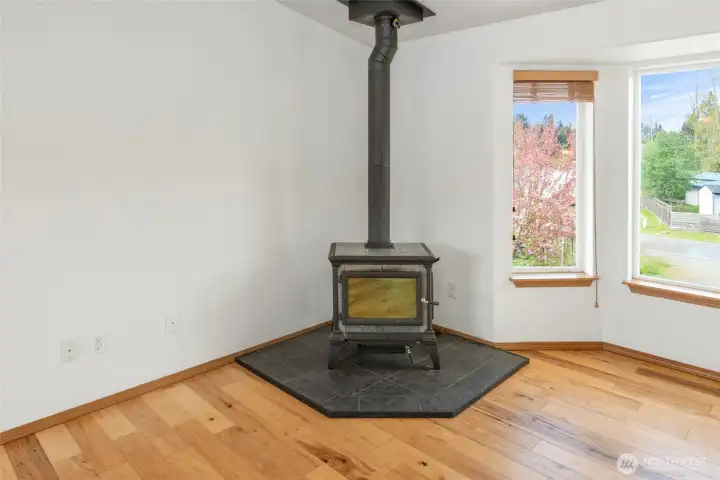 Wood burning stove in the corner of the living room
