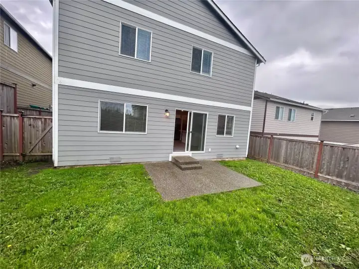 Back yard