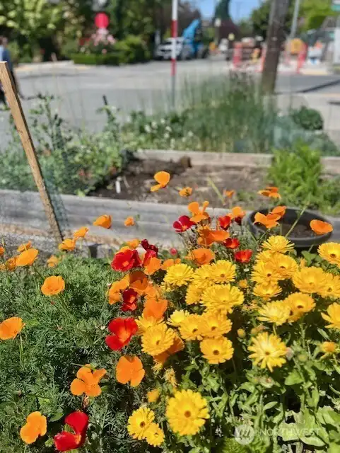 Lots of places to exercise your green thumb at the complex