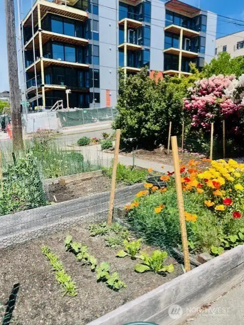 Onsite garden patch