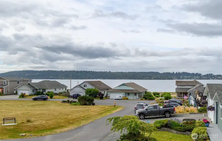 Penn Cove! Watch Orcas and Sailboat Regattas
