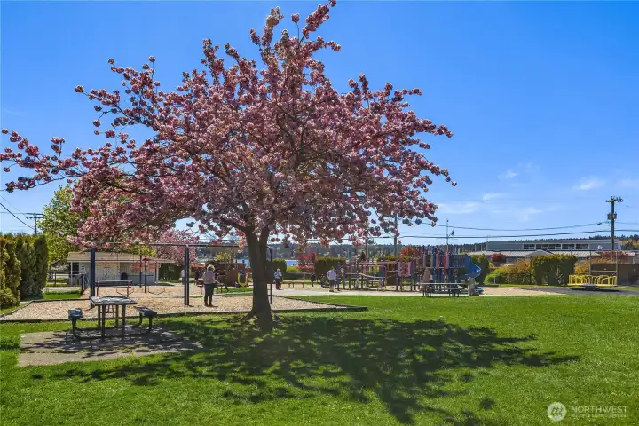 Lions Park is just .5 miles away! Lions Park is just .5 miles away!