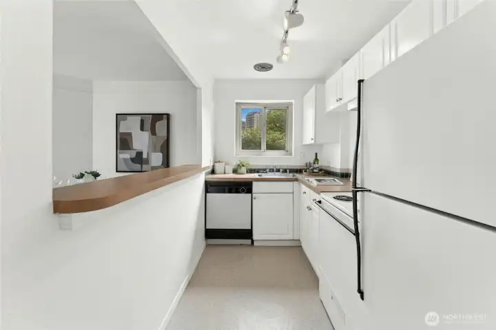 Efficient Galley Kitchen