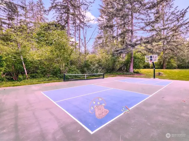It also features a court for basketball or pickleball