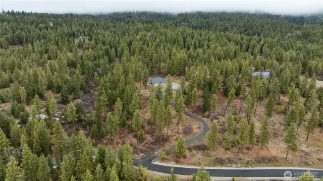 With 300 acres of forest neighboring outdoor recreation is out your front door.