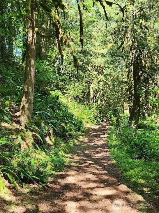 Access road