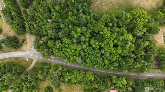 Birds Eye View