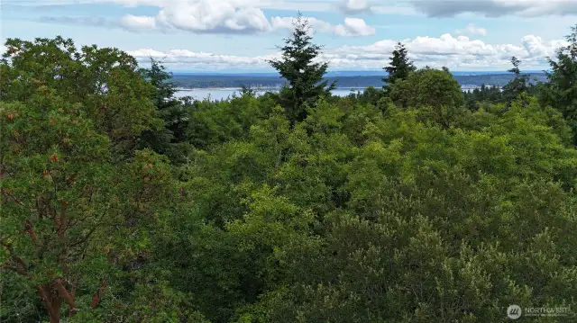 Just under trees facing Cascades