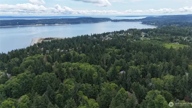 Surrounding Area