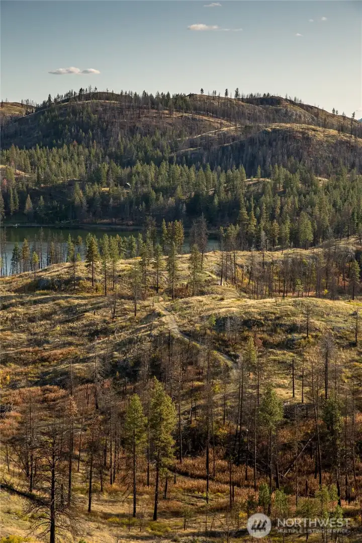 From near the northern property line looking down on the driveway winding through and across Horseshoe Lake to Cave Mountain.