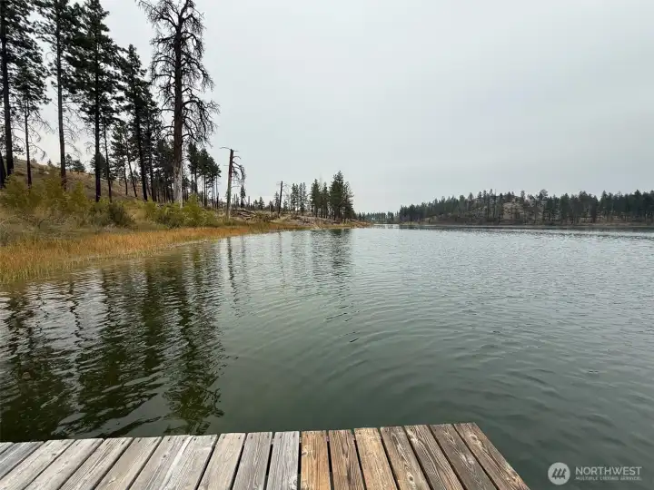 Looking NE along the shore of Horseshoe Lake from the floating dock.