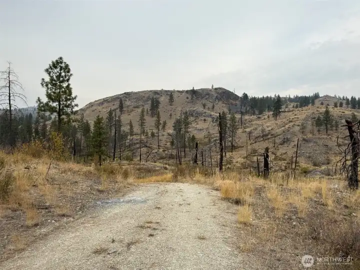 Looking back along the driveway toward the north end of the property on the distant hillside.