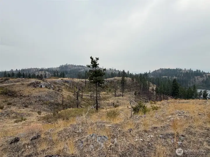 From near the SW corner of the upper parcel, looking SW across Albrecht Lake. The driveway runs along the ridge to the left in the picture.