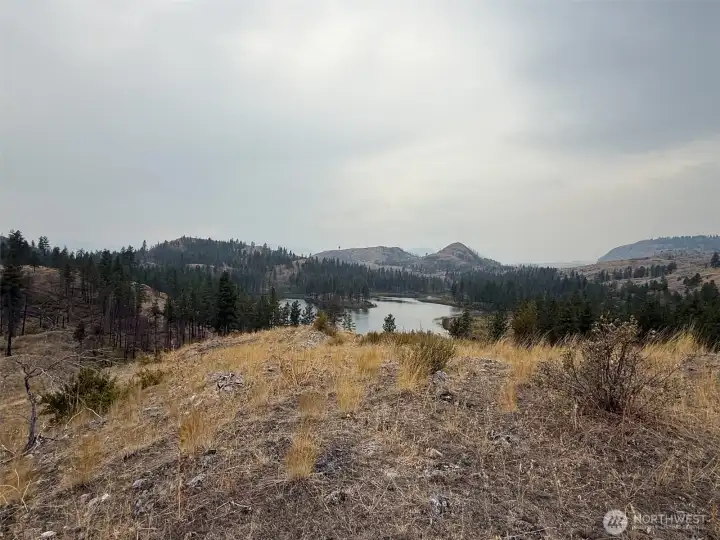Looking SW across Albrecht Lake.