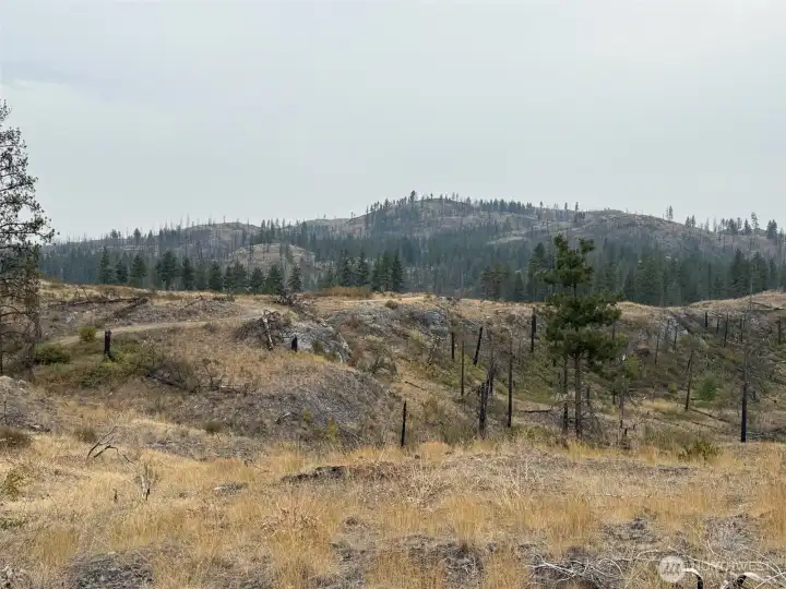 Looking South across the property at Cave Mountain.