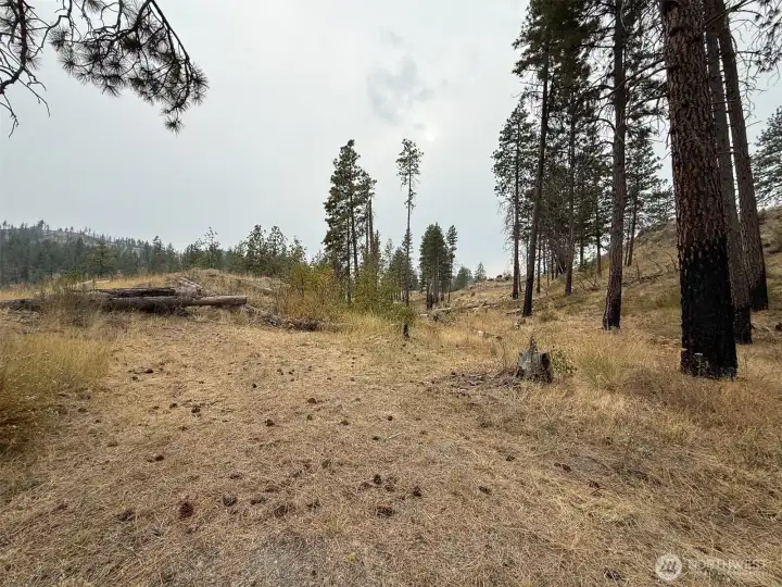 Plenty of level ground for parking, additional camping, etc.