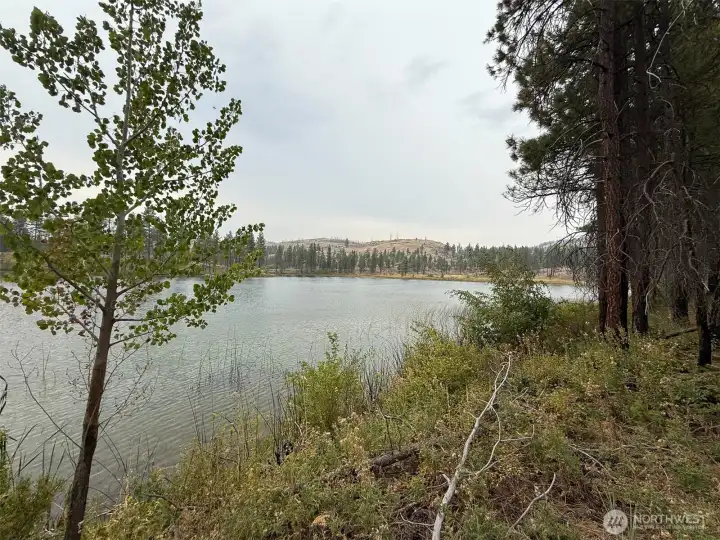 The shoreline of Albrecht Lake is less developed and takes a little more effort to get to - but well worth it!
