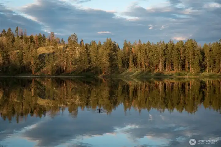 Morning light on the lake.