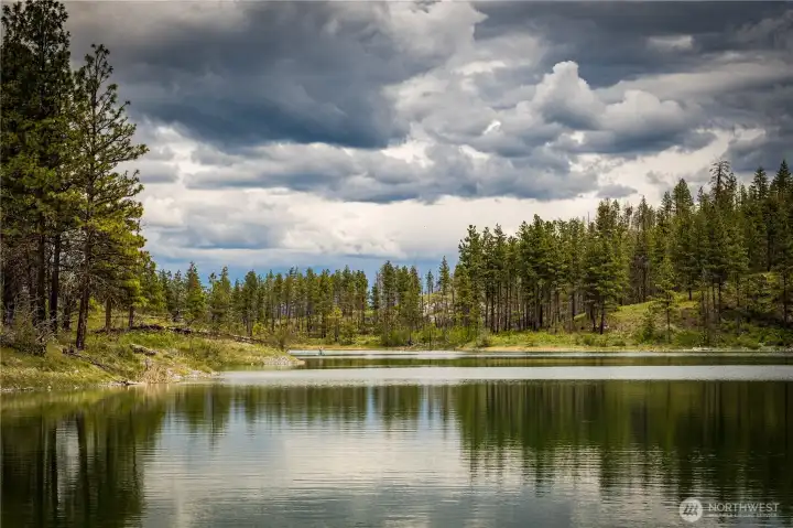 The vibrant green of spring at Horseshoe Lake.