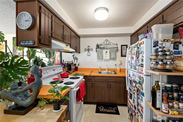 Typical kitchen.
