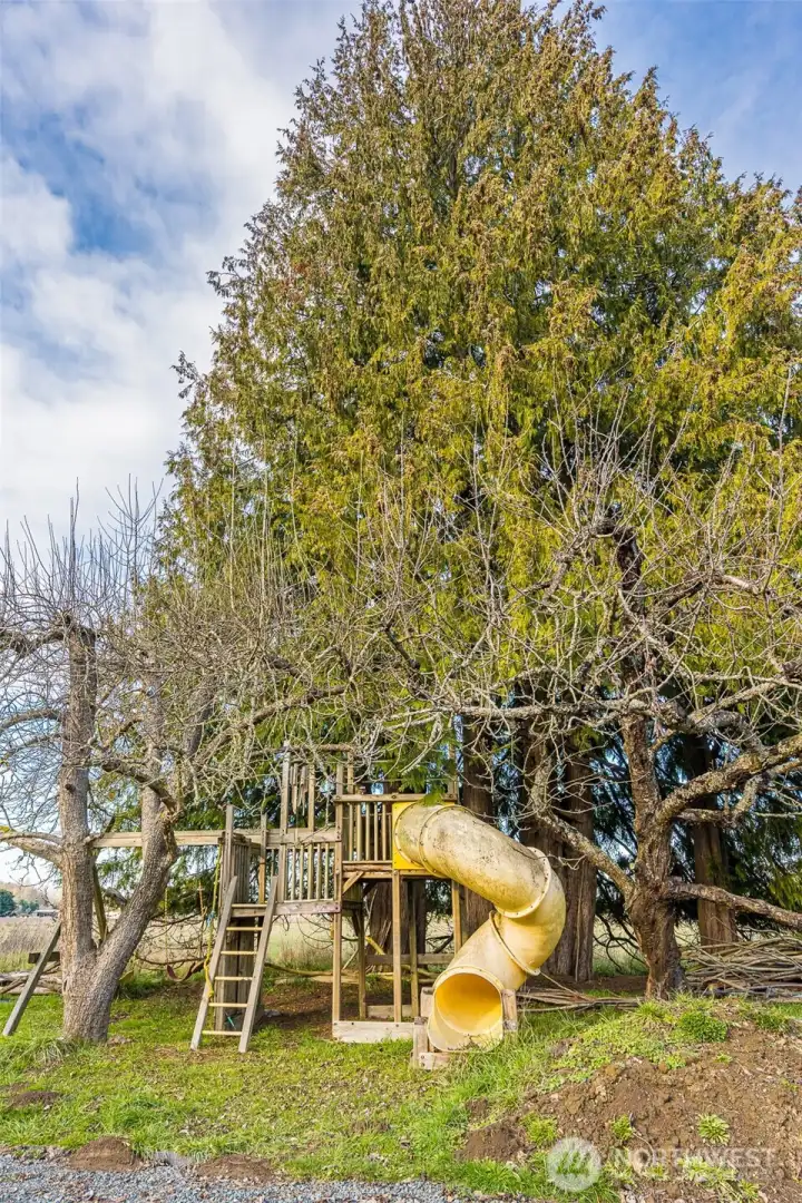 playhouse in backyard behind greenhouses