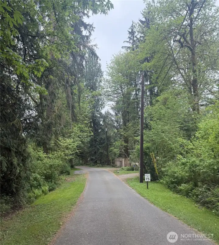 A pretty view of N. River Drive as you approach the property.