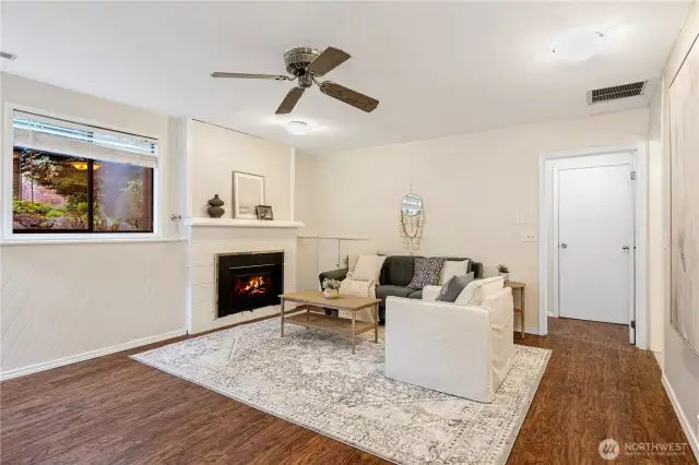 lower floor family room with fireplace
