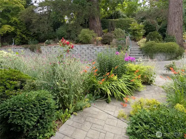 Front walkway in full bloom (July/Aug)