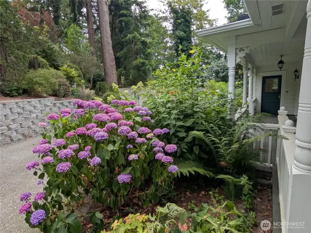Front Porch Gardens & Landscaping in full bloom (July/Aug)