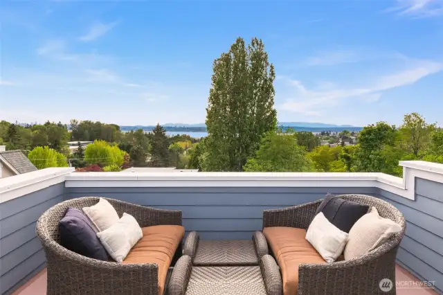 Rooftop deck. Take in the views of Lake Washington!