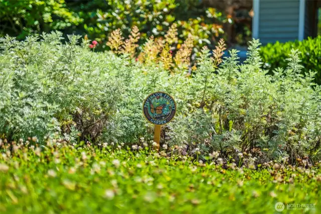 The most beautiful, purposeful Pollinator Gardens - Low Maintenance!
