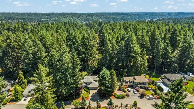 Artondale Woods - Located conveniently to downtown, amenities, and recreational areas, while maintaining a quiet, peaceful vibe.