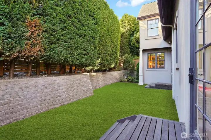 Back yard with grass (virtual)