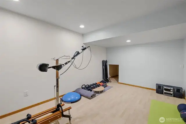 Bonus room/flex room/storage room! Would also be great for a theater room!
