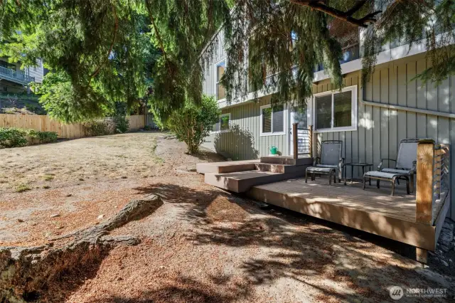 Backyard.