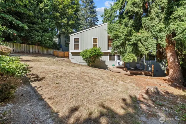 Spacious backyard.