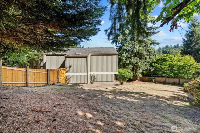 Another view of the yard.