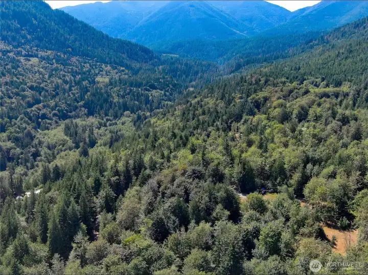 Homesite is at the lower right corner above the Big Quil River and the National Fish Hatchery.