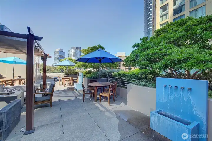 Common Area:  900 Lenora 3rd Floor Terrace with BBQs, Fire Pits, & Pet Relief Area.