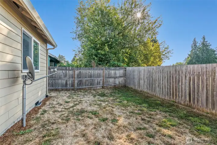 Fenced Backyard