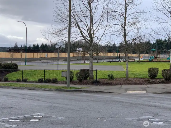 Community Park Community Park
