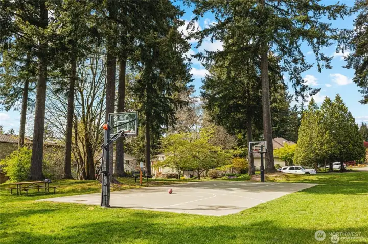 Sports court and park right across the street