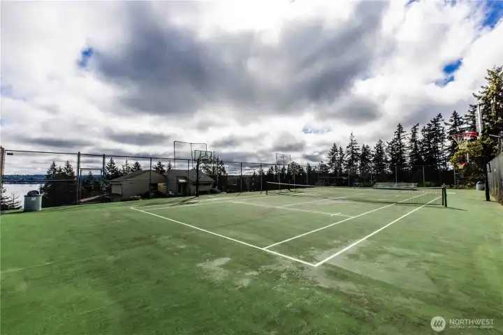 Ground level view of sport courts.